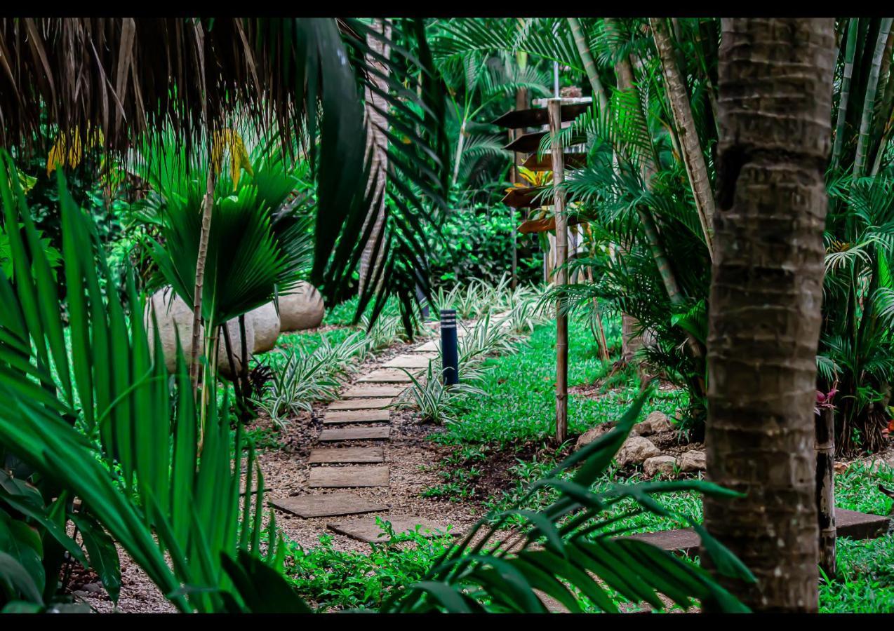 Villas Pura Vibra ポトレロ エクステリア 写真
