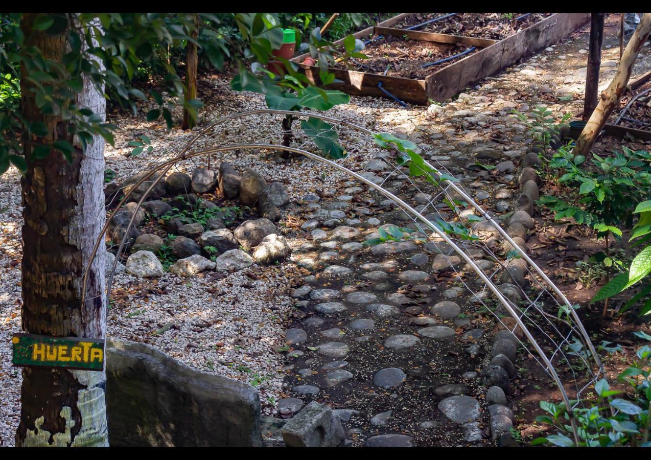 Villas Pura Vibra ポトレロ エクステリア 写真
