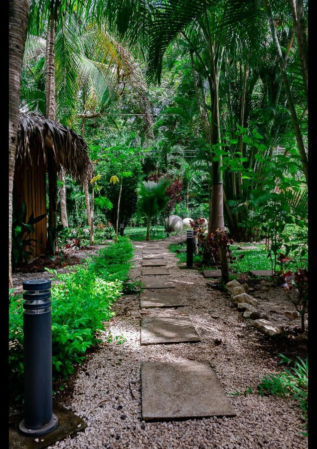 Villas Pura Vibra ポトレロ エクステリア 写真