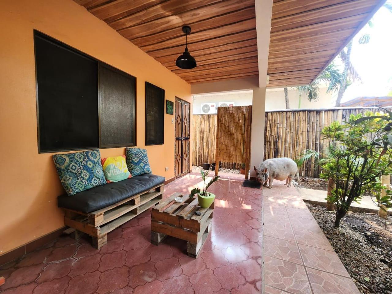 Villas Pura Vibra ポトレロ エクステリア 写真