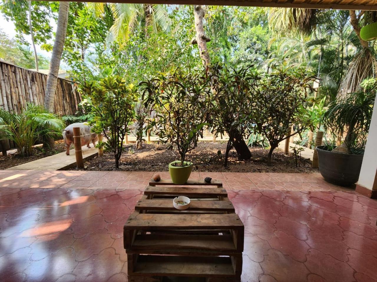 Villas Pura Vibra ポトレロ エクステリア 写真
